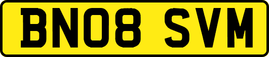 BN08SVM