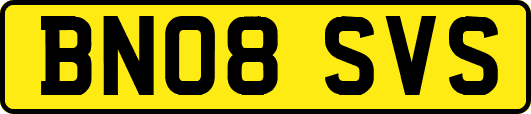 BN08SVS