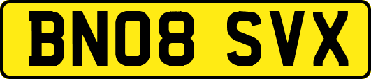 BN08SVX