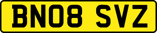 BN08SVZ