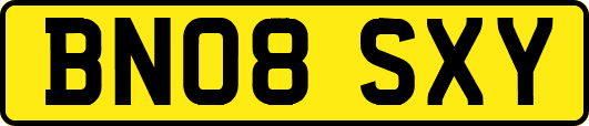 BN08SXY