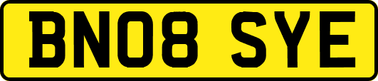 BN08SYE