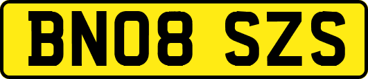BN08SZS