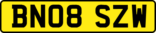 BN08SZW