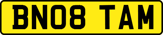 BN08TAM
