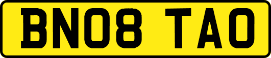 BN08TAO