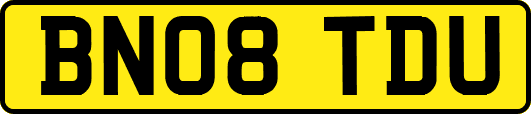 BN08TDU
