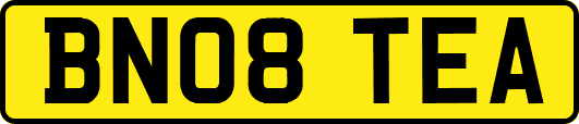 BN08TEA
