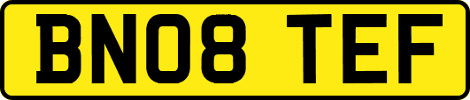 BN08TEF