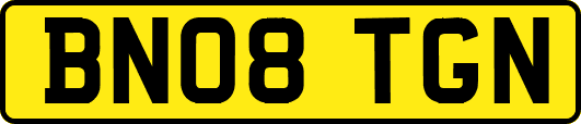 BN08TGN