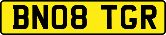 BN08TGR