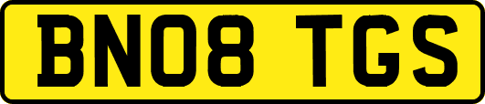 BN08TGS