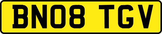 BN08TGV