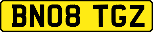 BN08TGZ