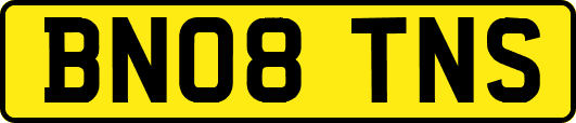 BN08TNS