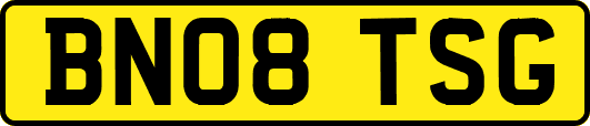 BN08TSG