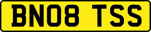 BN08TSS