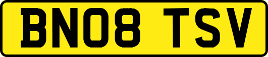 BN08TSV