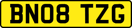 BN08TZG