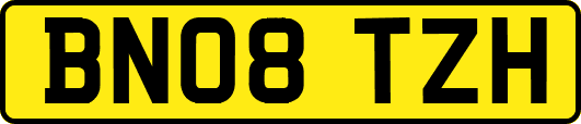 BN08TZH