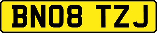 BN08TZJ
