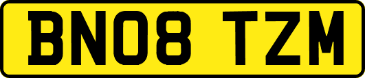 BN08TZM