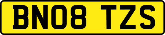 BN08TZS
