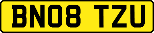 BN08TZU