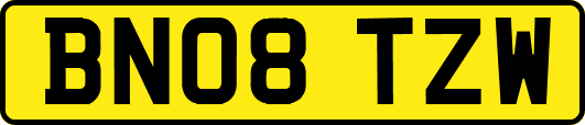 BN08TZW