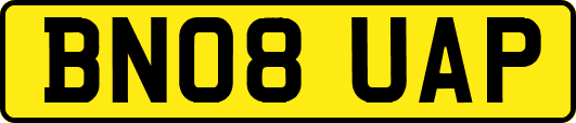 BN08UAP
