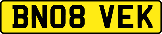 BN08VEK