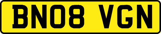 BN08VGN