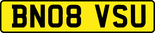 BN08VSU