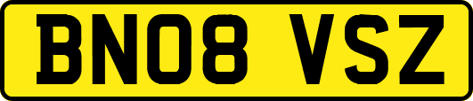 BN08VSZ
