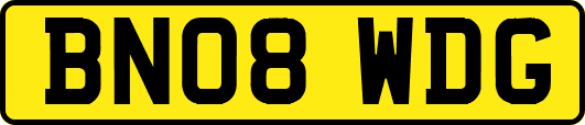 BN08WDG