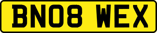 BN08WEX