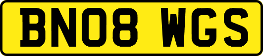 BN08WGS