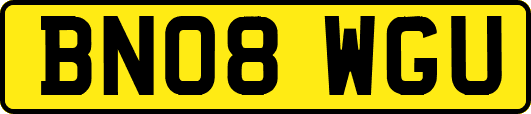 BN08WGU