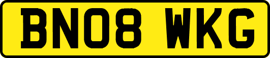 BN08WKG