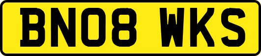 BN08WKS