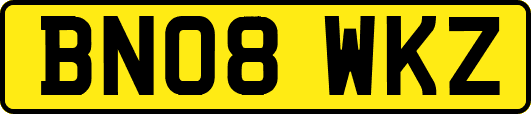 BN08WKZ
