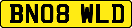 BN08WLD