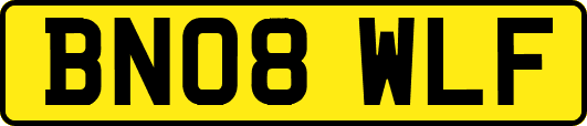 BN08WLF