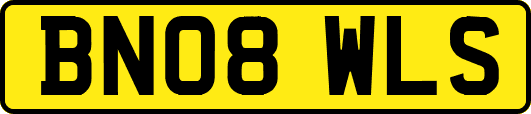 BN08WLS