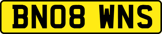 BN08WNS