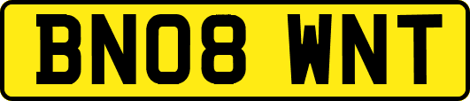 BN08WNT
