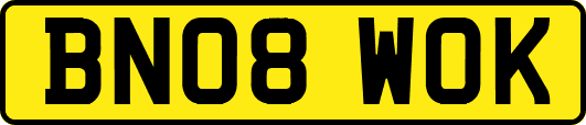 BN08WOK