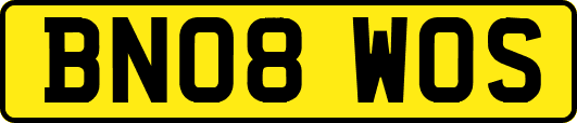 BN08WOS