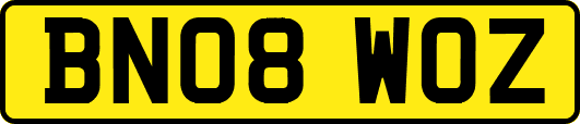 BN08WOZ