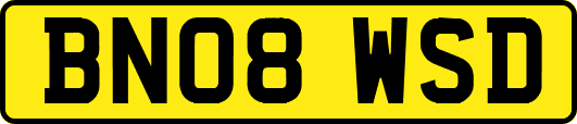 BN08WSD